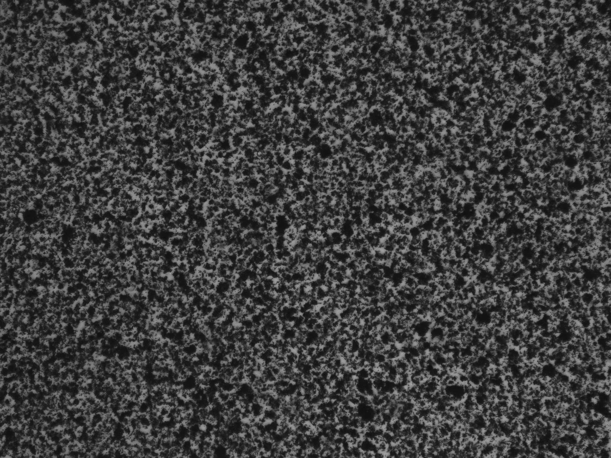 Image 11
