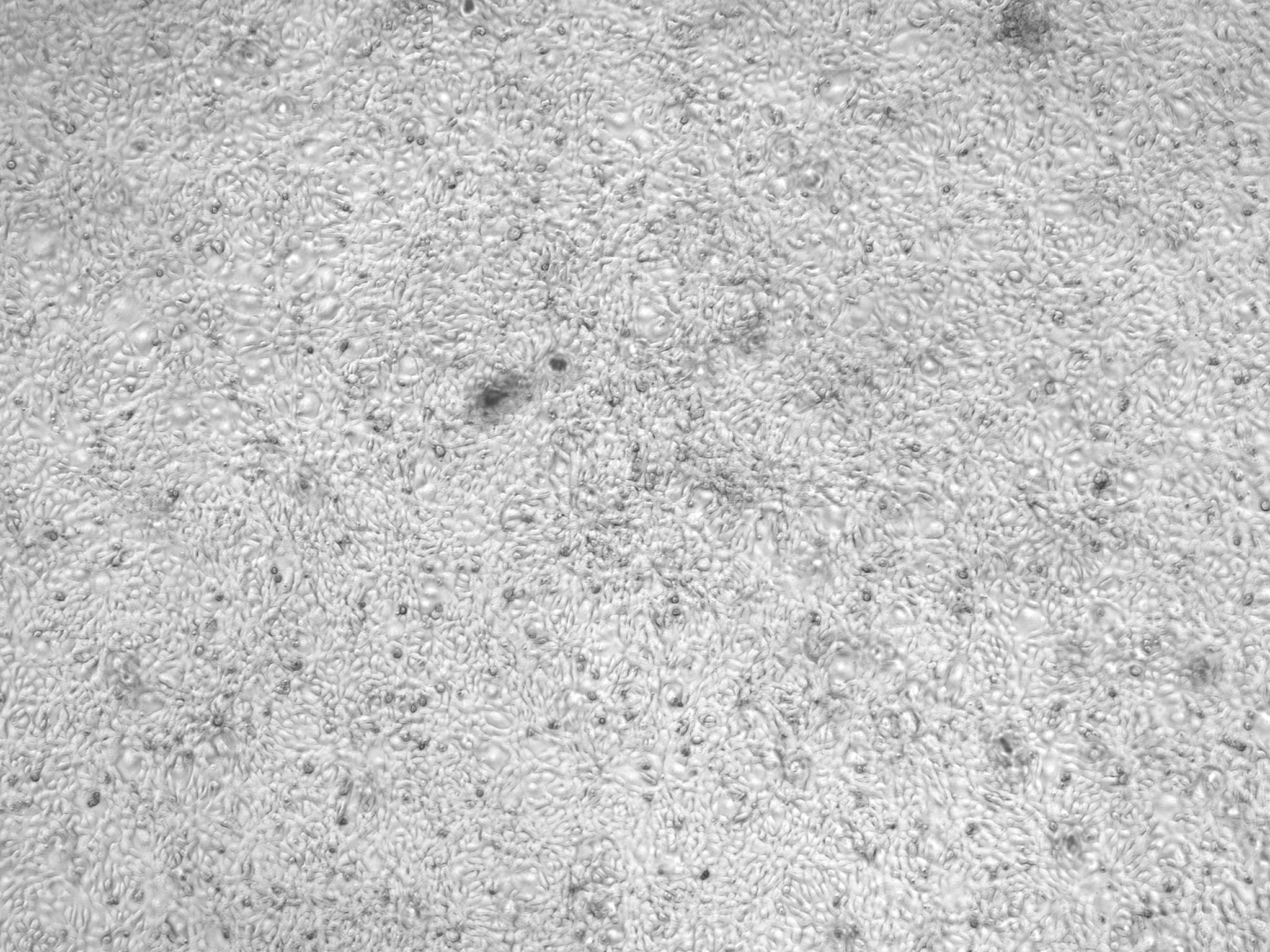 Image 6
